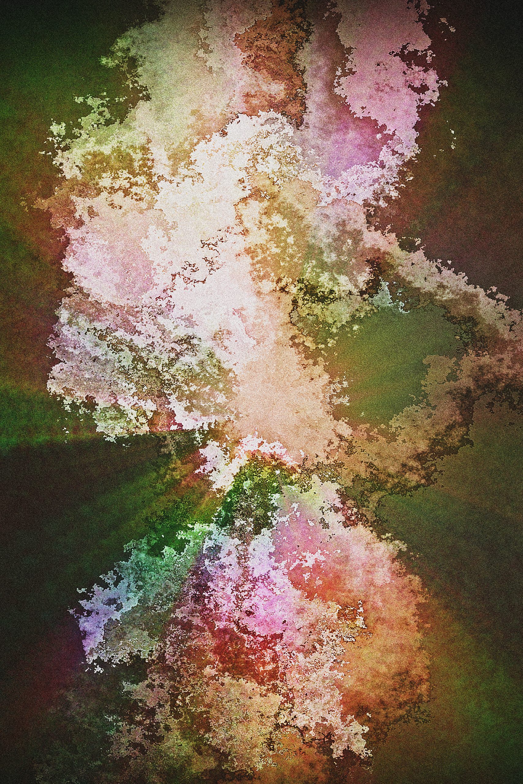 METAMORPH_001
