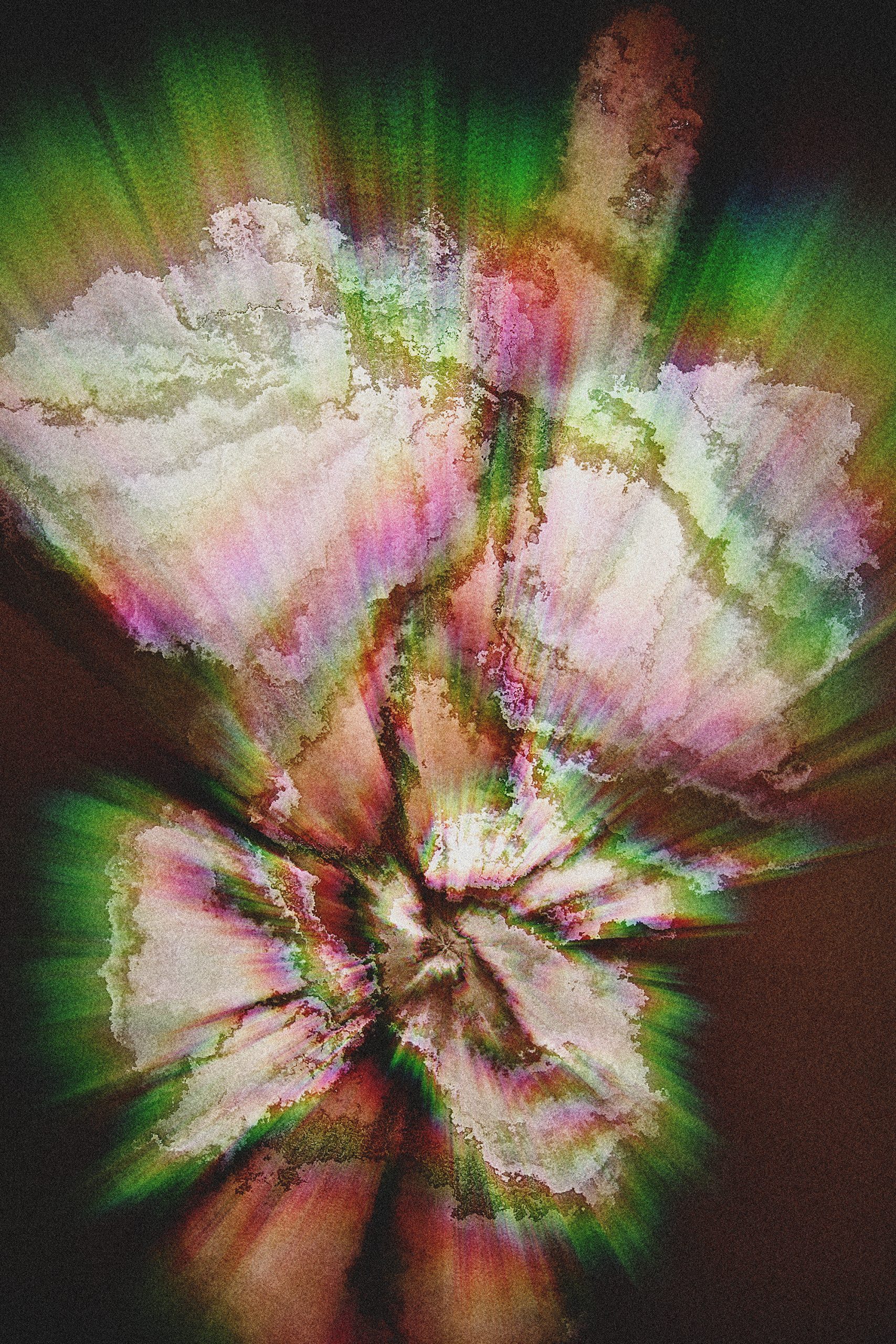 METAMORPH_003