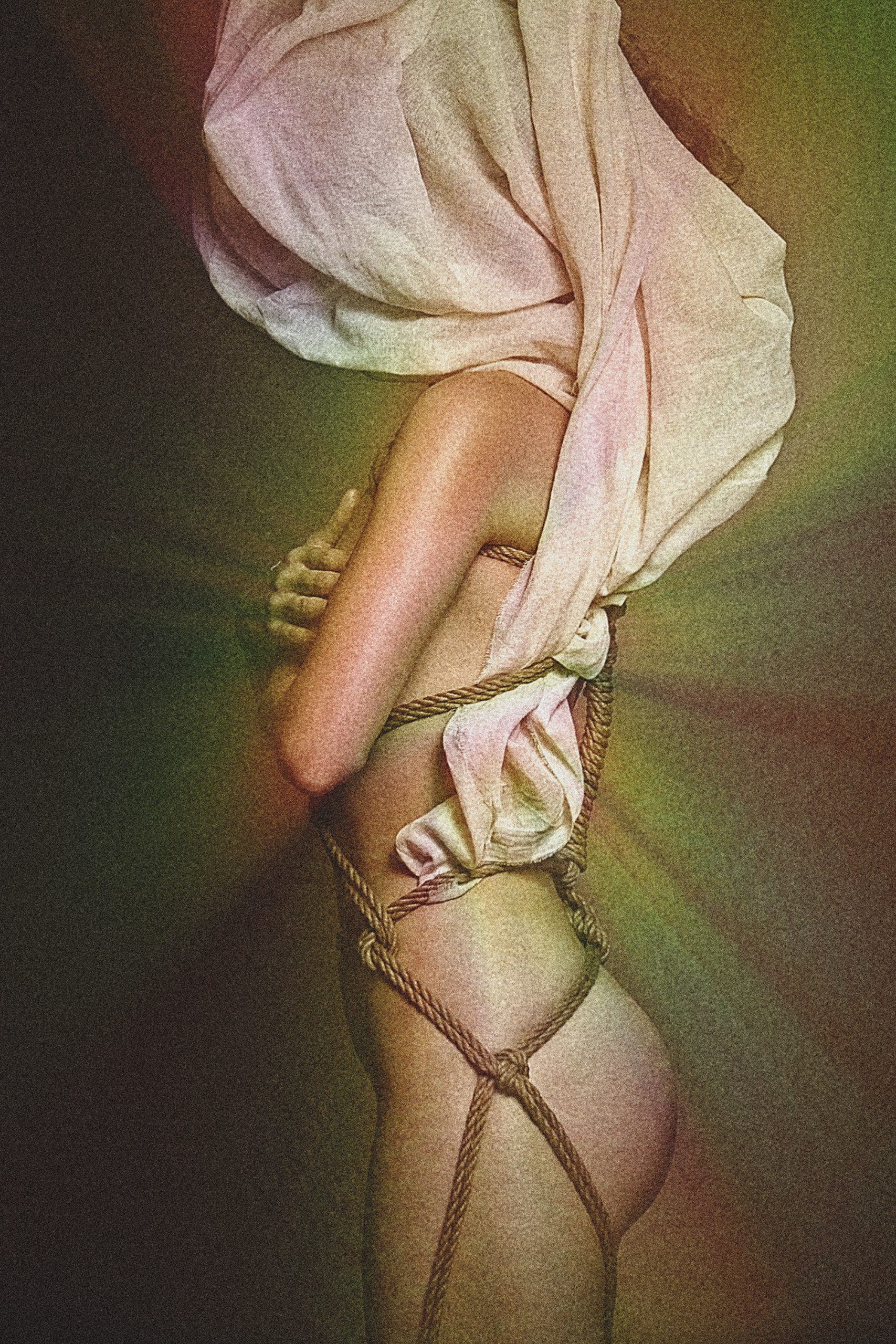 METAMORPH_006